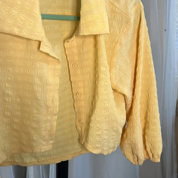 Yellow Jacket - Picture 3 of 3